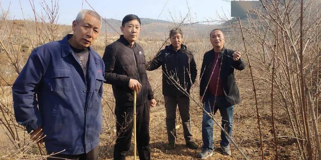 2016年,陵川县马圪当乡双庙村第一书记杨锦华所在的晋城市总工会充分