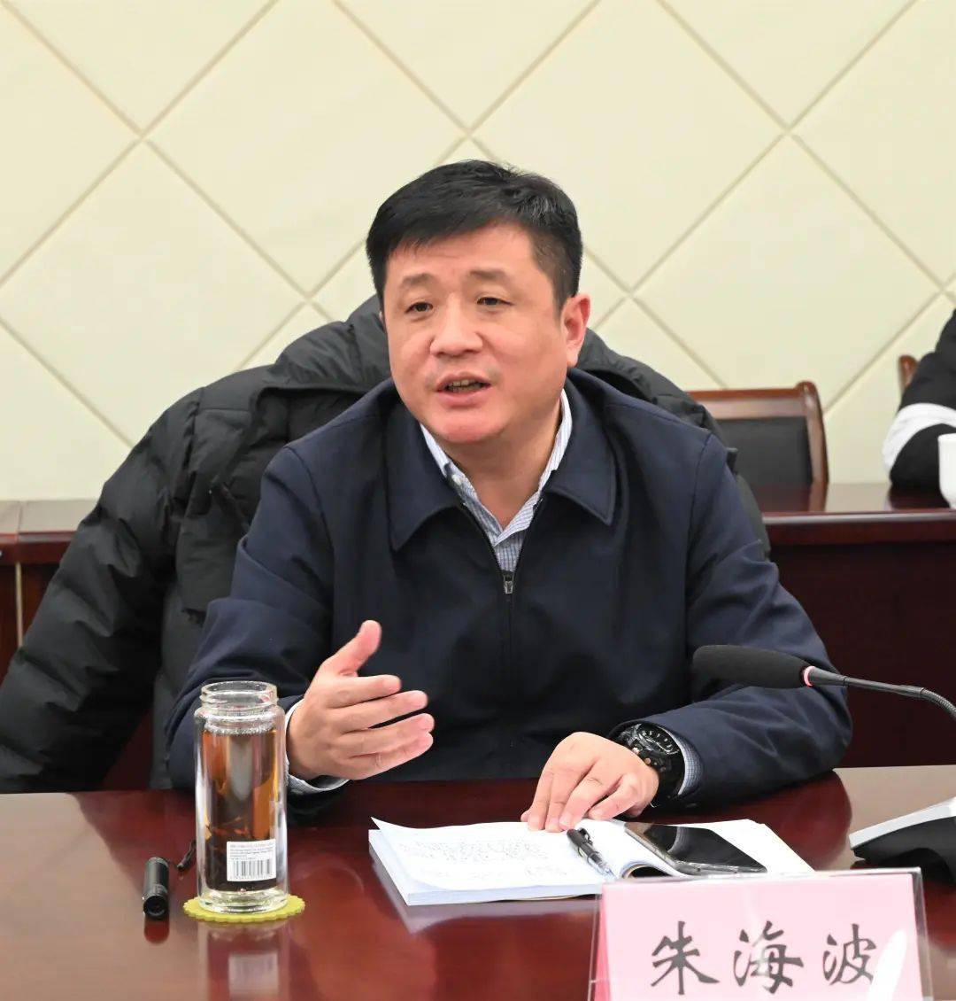 我区推进南部新城开发建设工作_朱海波