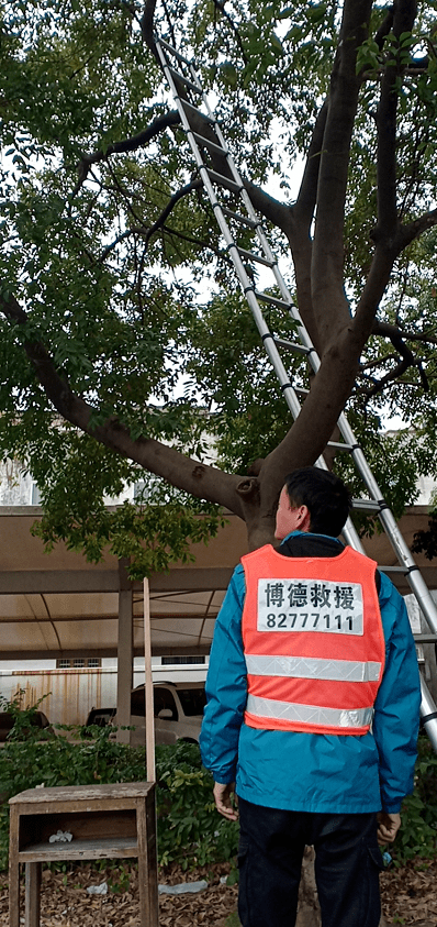 龙港三中图片