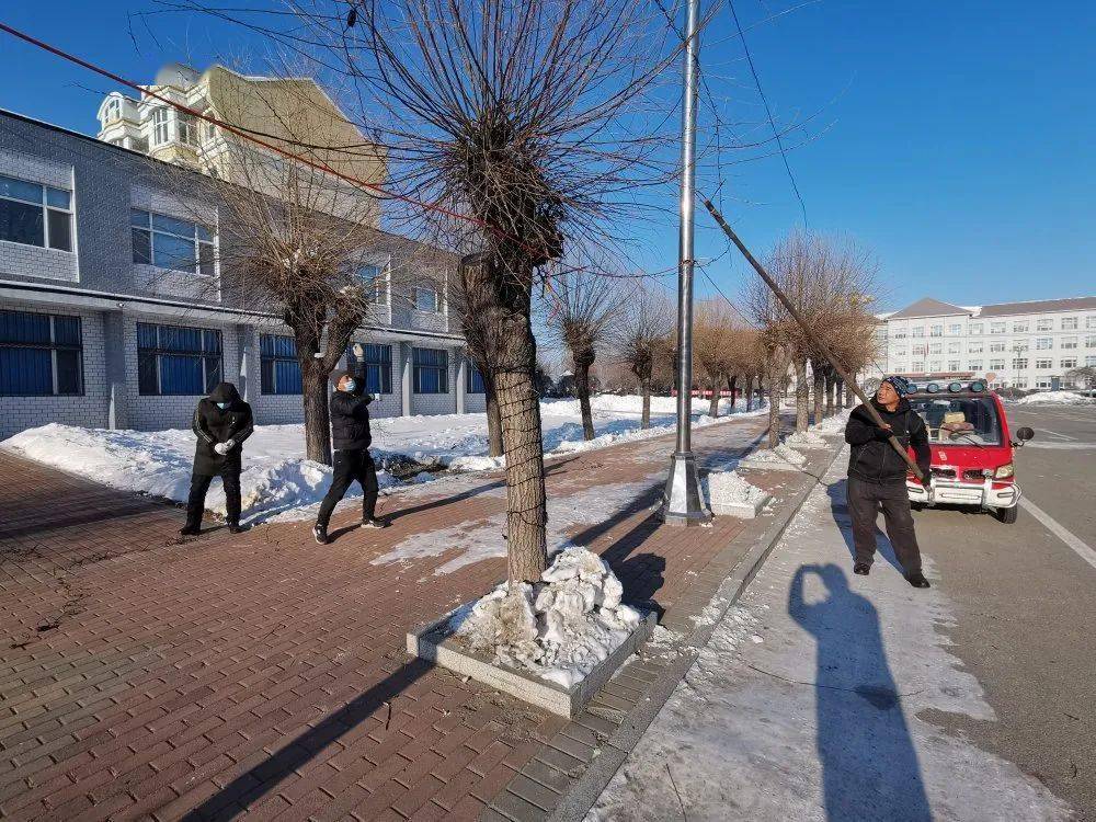 八五五农场有限公司彩灯挂枝头喜庆上眉头