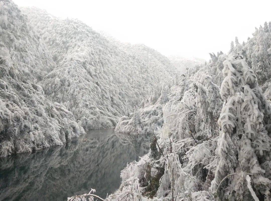 隆回雪峰山大花瑶景区白雪纷飞银装素裹美醉了