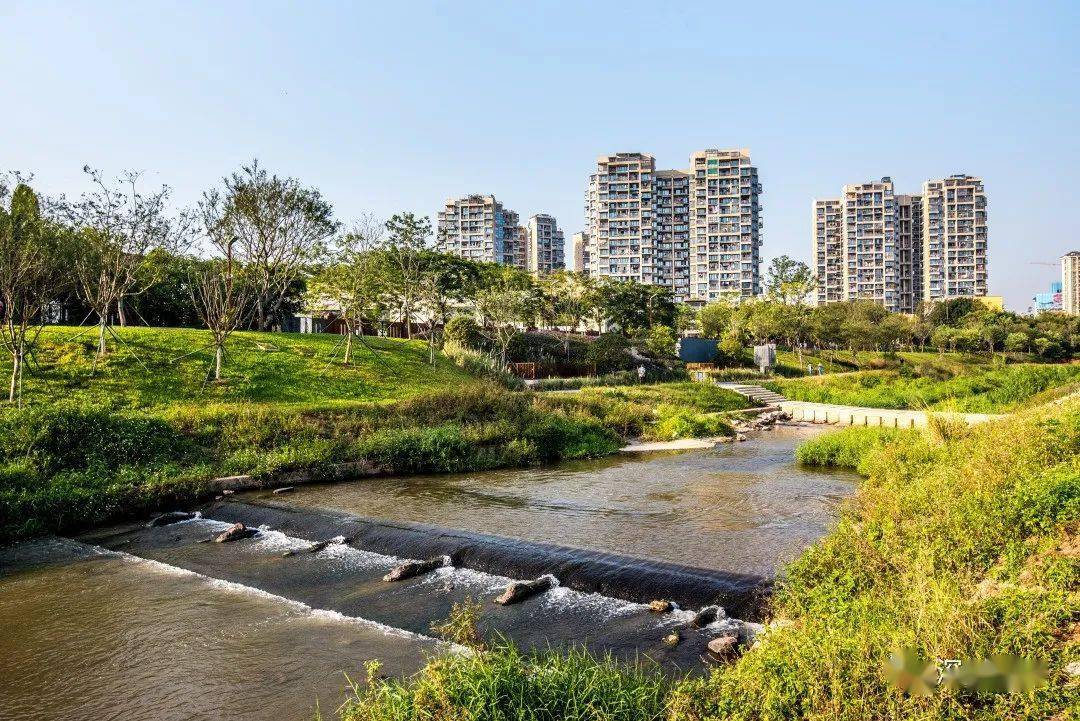 深圳园林专题讲座|设计院院长蔡盛林解读现代城市公园景观