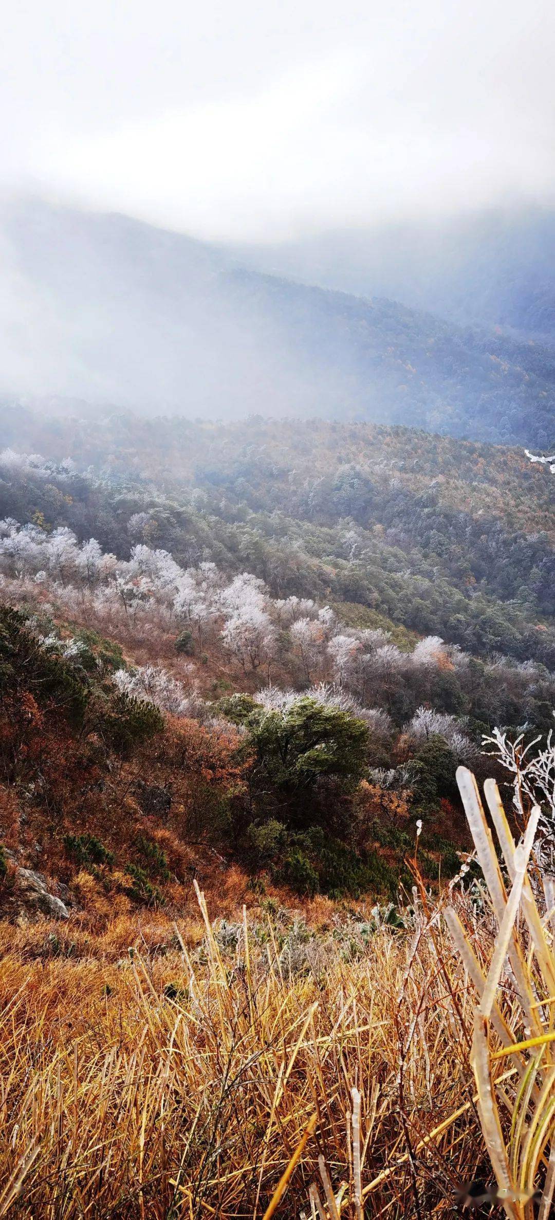 燕子山恭城图片