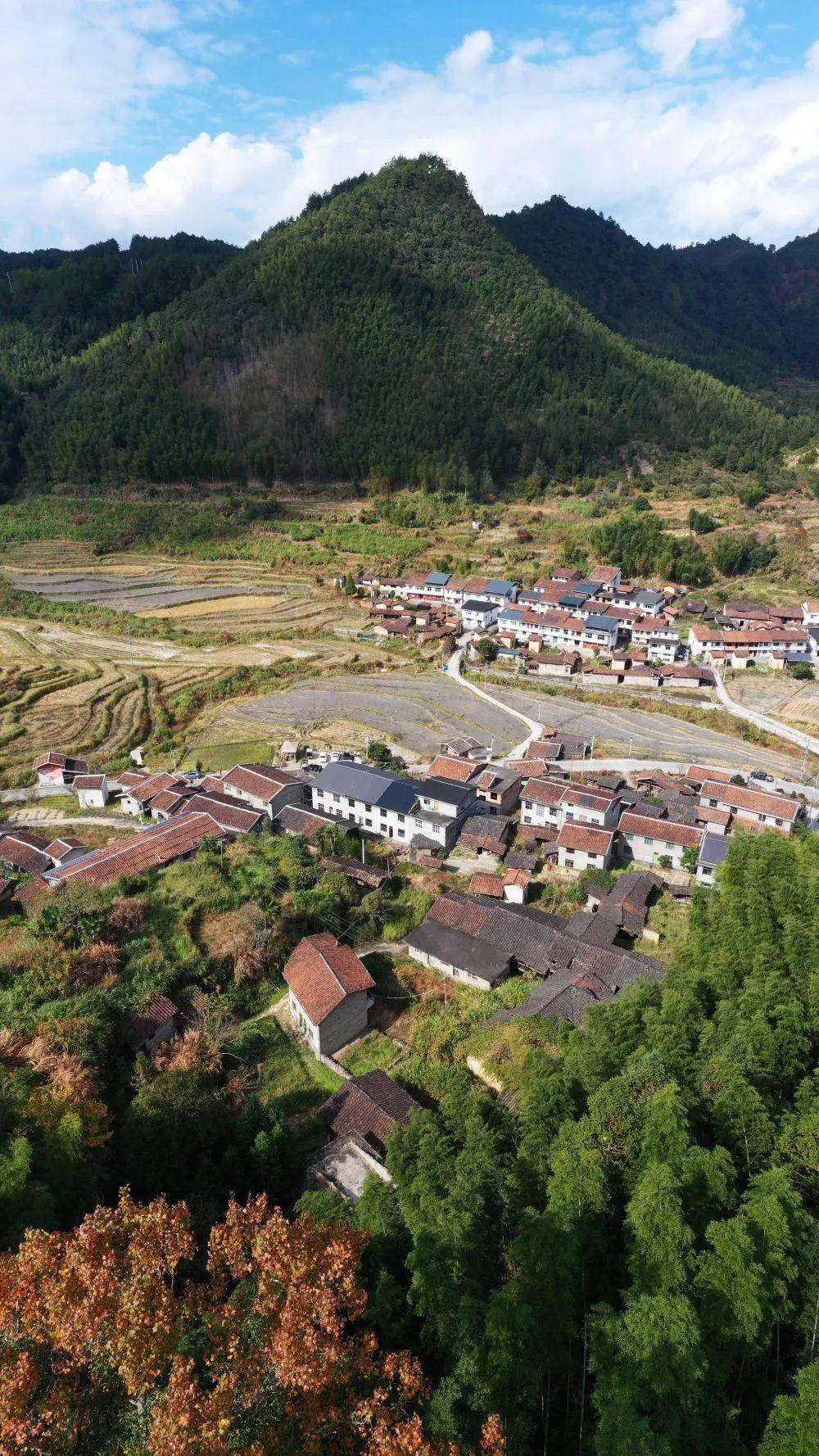 新华社 | 这里是"中国绿都",这里是三明_福建省