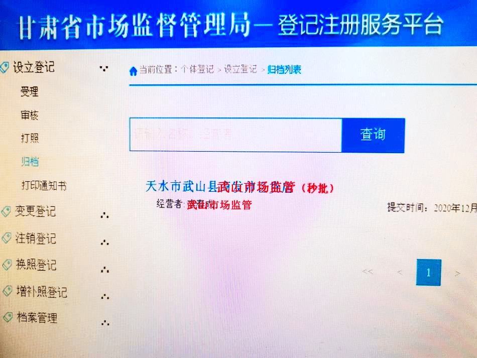 武山县:个体工商户营业执照"秒批"让群众办事"足不出户"_系统