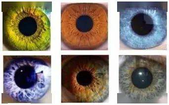 不同人群虹膜颜色和瞳孔大小