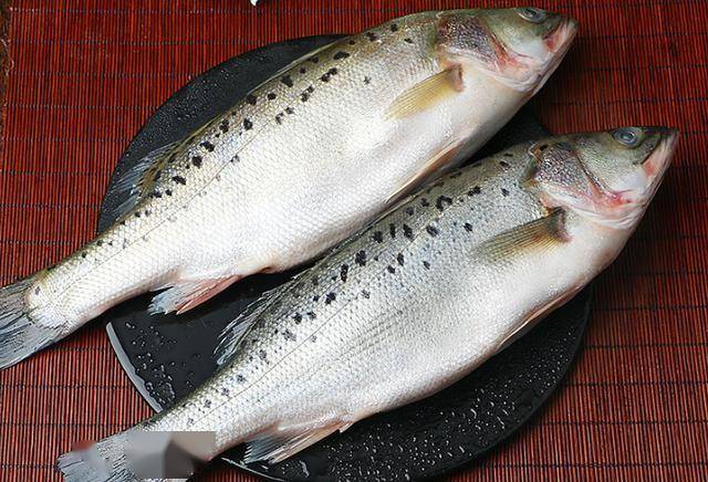 四,看鱼腹不管是淡水鱼,还是海鲜鱼类,都可以通过它