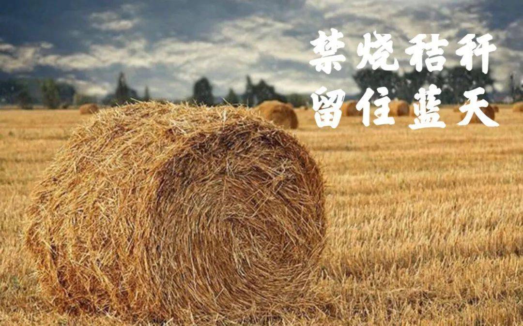 留住蓝天韩庙镇启动全镇冬季秸秆禁烧管控工作