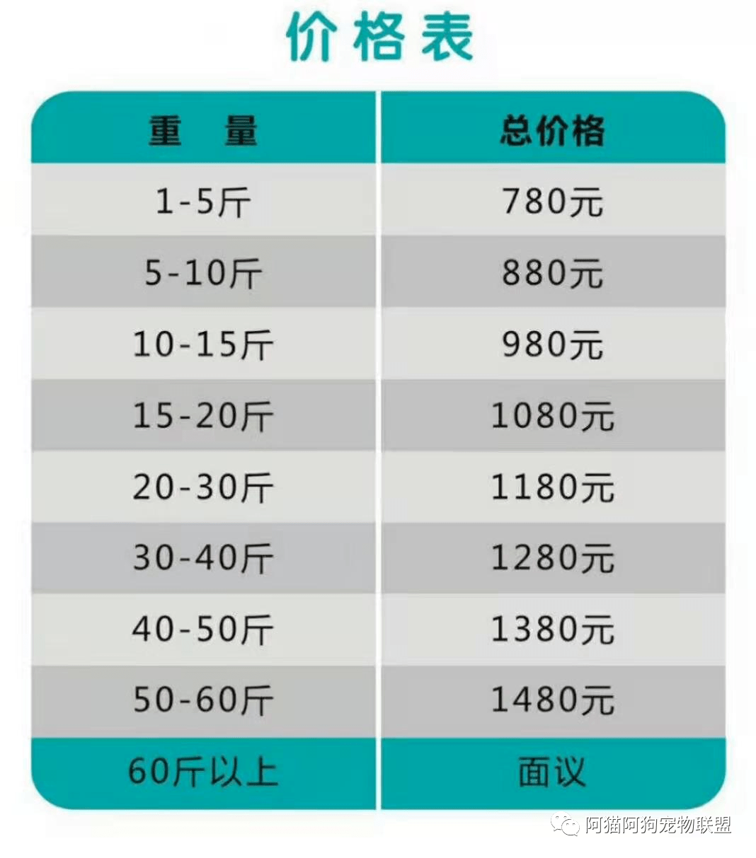 沈阳宠物殡葬价目表图片