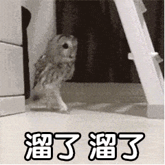 239_239gif 动态图 动图