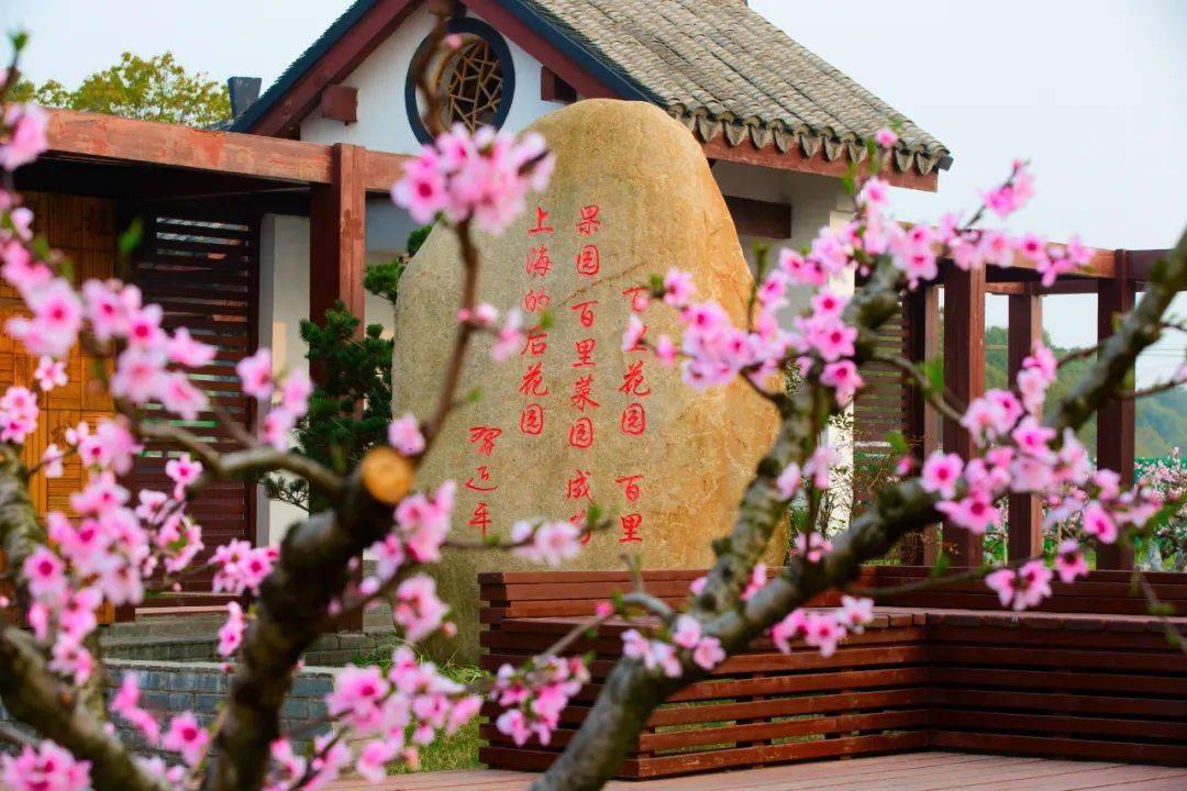 【最美游记】孙力《梦里的"瑶池蟠桃园"》