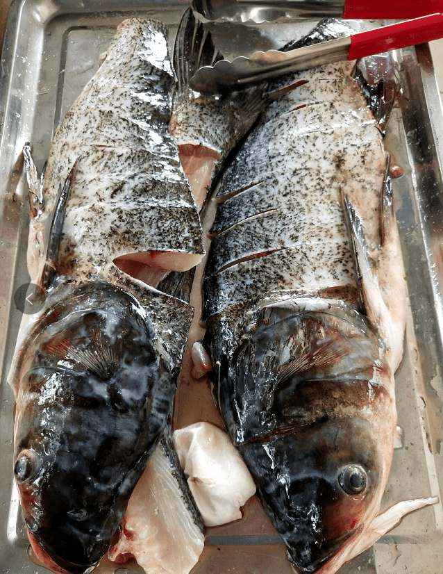 生态仙海鱼那就来一锅正宗的仙海鱼火锅吧~健康还要有营养大冬天就想