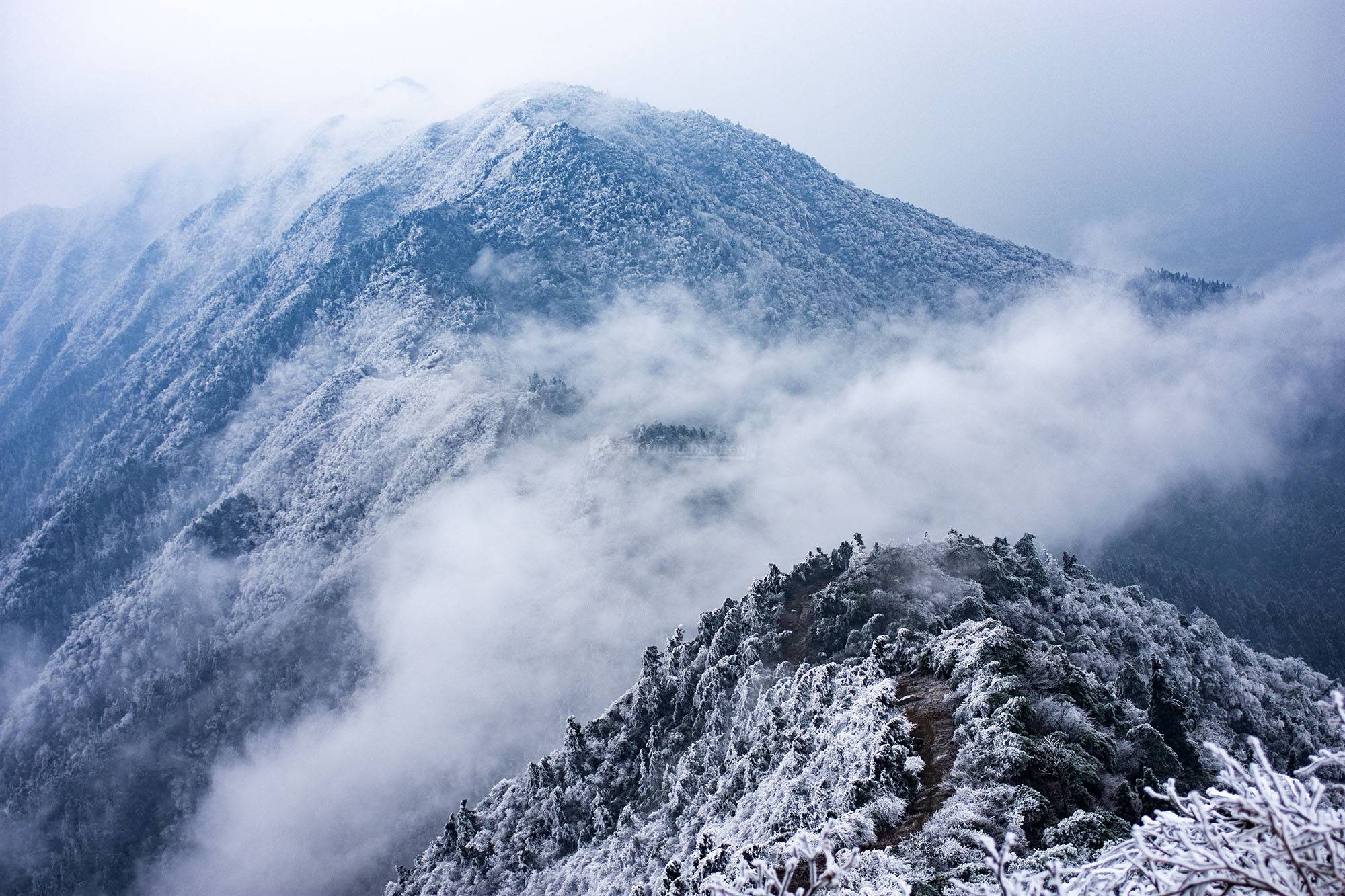 南岳衡山雾凇的图片图片
