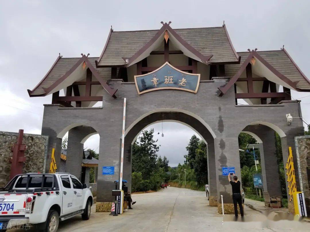 普洱最贵的生茶之一班章5大村寨老班章独有花蜜香