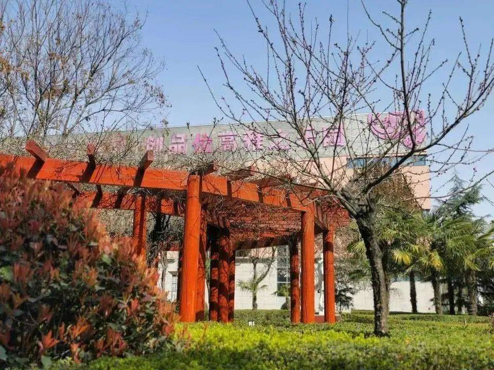 未央名校西安市第七十五中学构建师生共同发展和谐健康的教育乐园