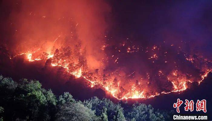 25人被追责!四川凉山致19死森林火灾调查结果公布
