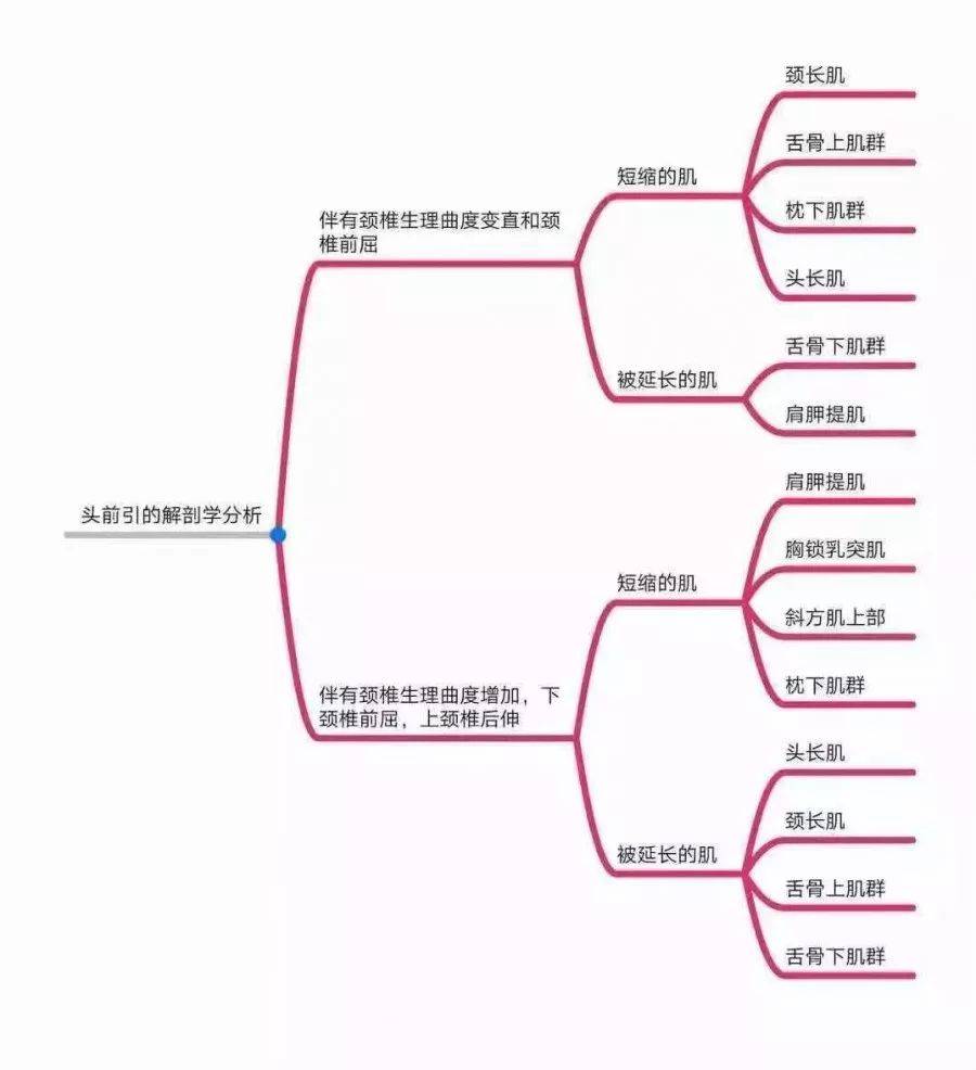 体形矫正全身异常体态姿势解剖学分析思维导图