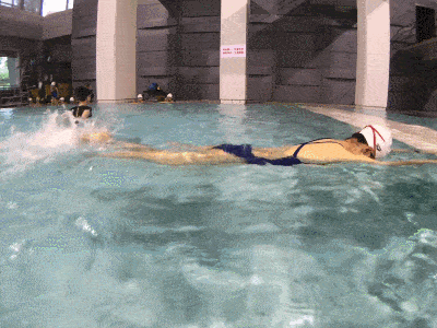 自由泳入门教学之一打腿练习