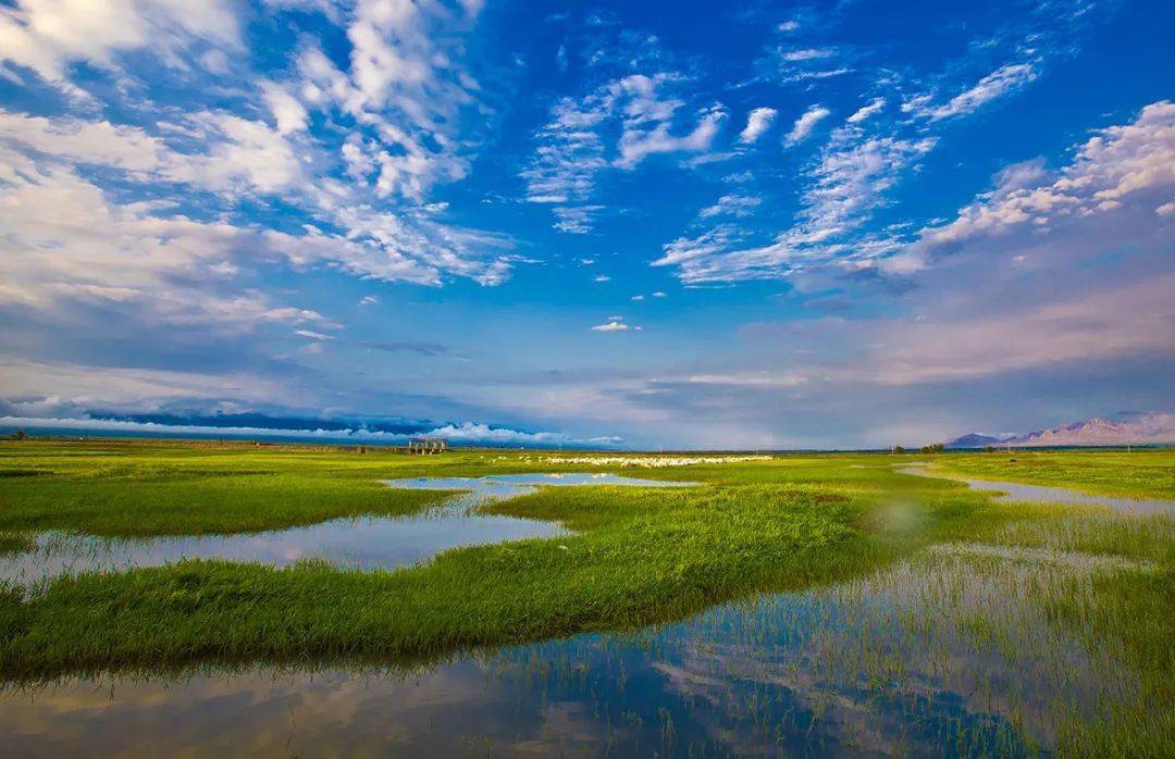 桑干河自然保护区图片