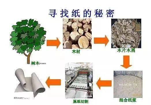 小学手工造纸实验步骤图片