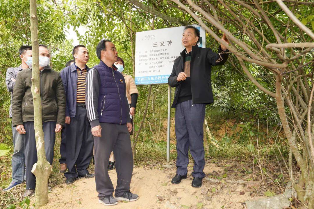 阳西县新农庄种养专业合作社举办南药种植技术培训班