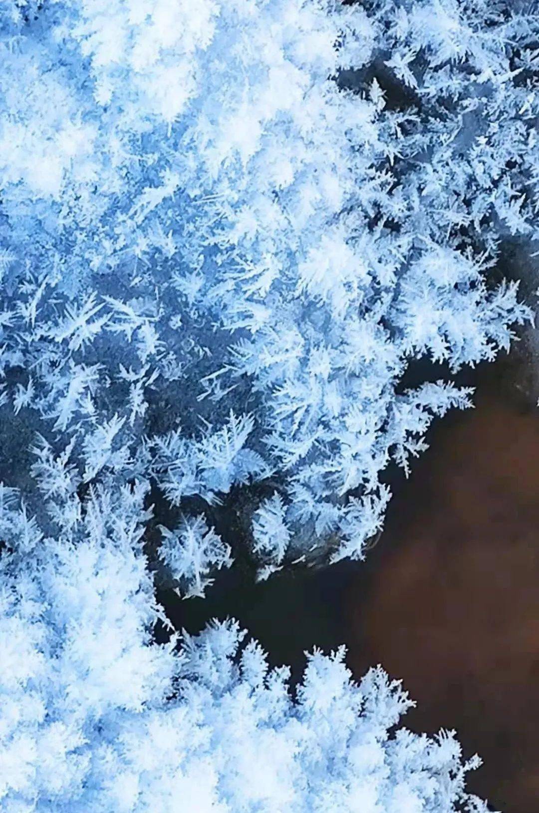 图里河上冰雪花