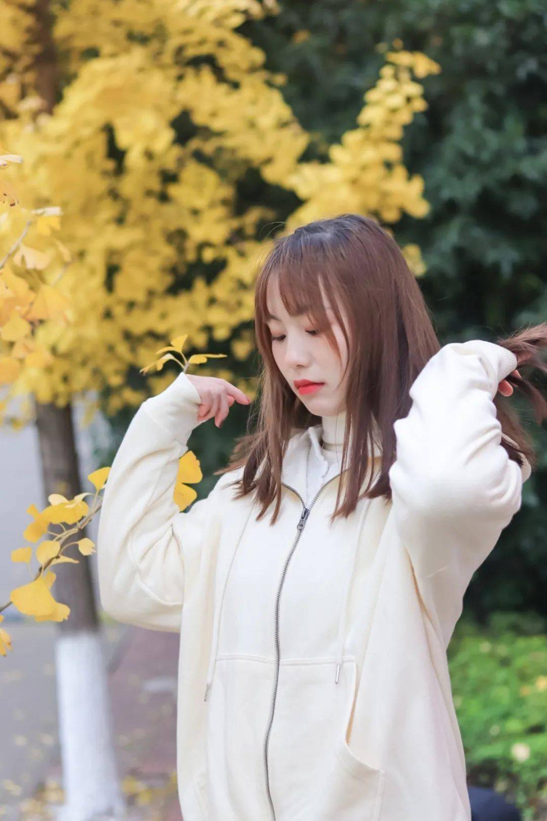 春去秋来万物休唯有银杏挂满秋偶尔也放下书本去赏一赏一载只一场的