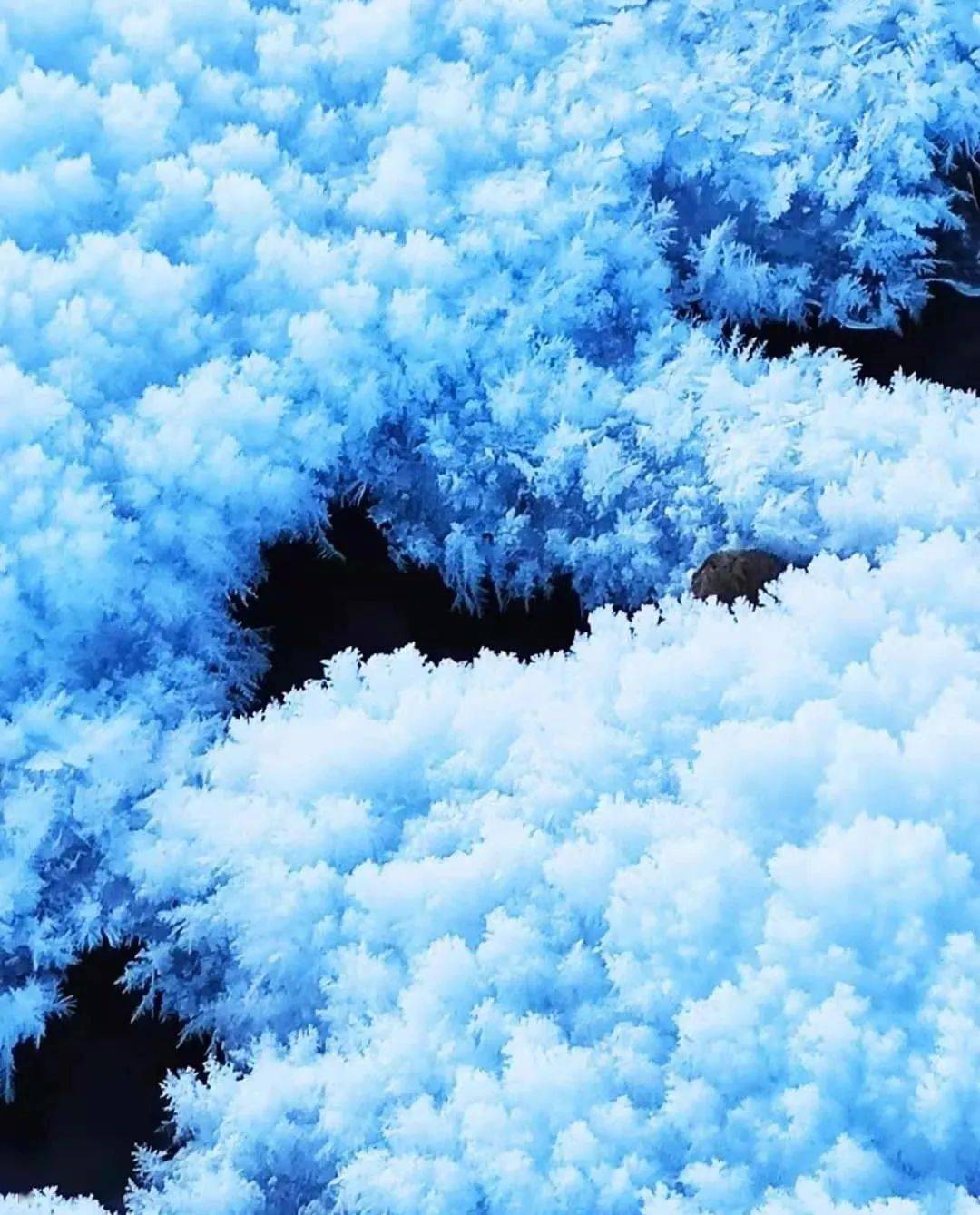 图里河上冰雪花