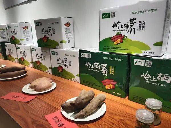 红薯也可高大上伊川为红薯建起硒薯文化馆