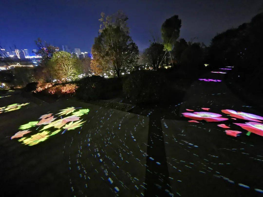 "吃完晚饭后,到鼓山公园散散步,看看灯光秀,和孩子一起体验新开放的