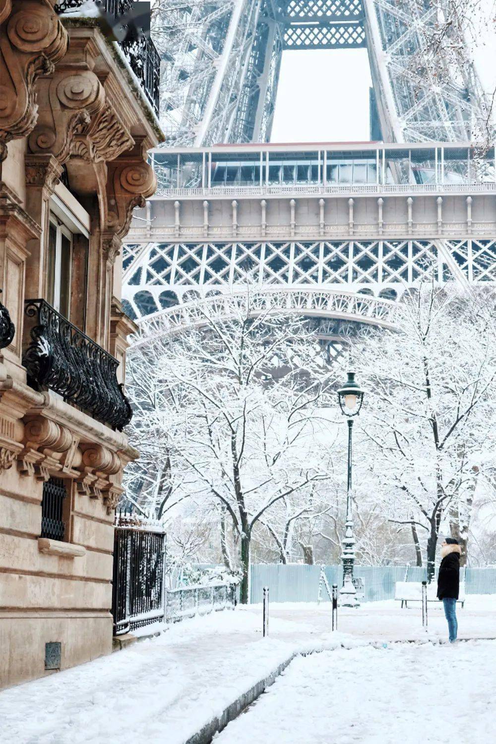巴黎初雪将在圣诞节降临!告白的小伙伴准备好了么?_雪景