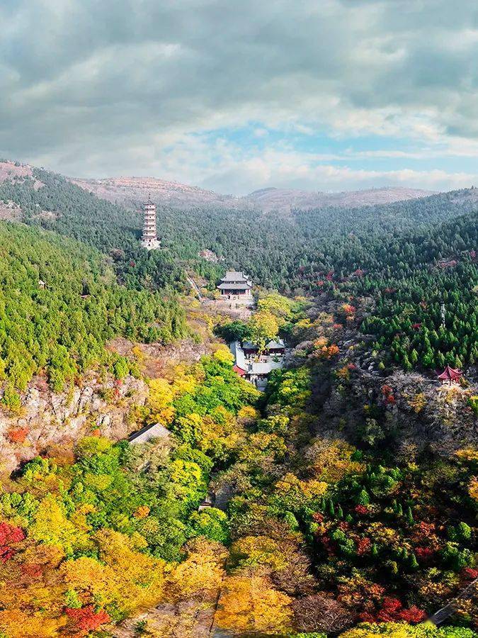 榴乡峄城美云端俯瞰冠世榴园