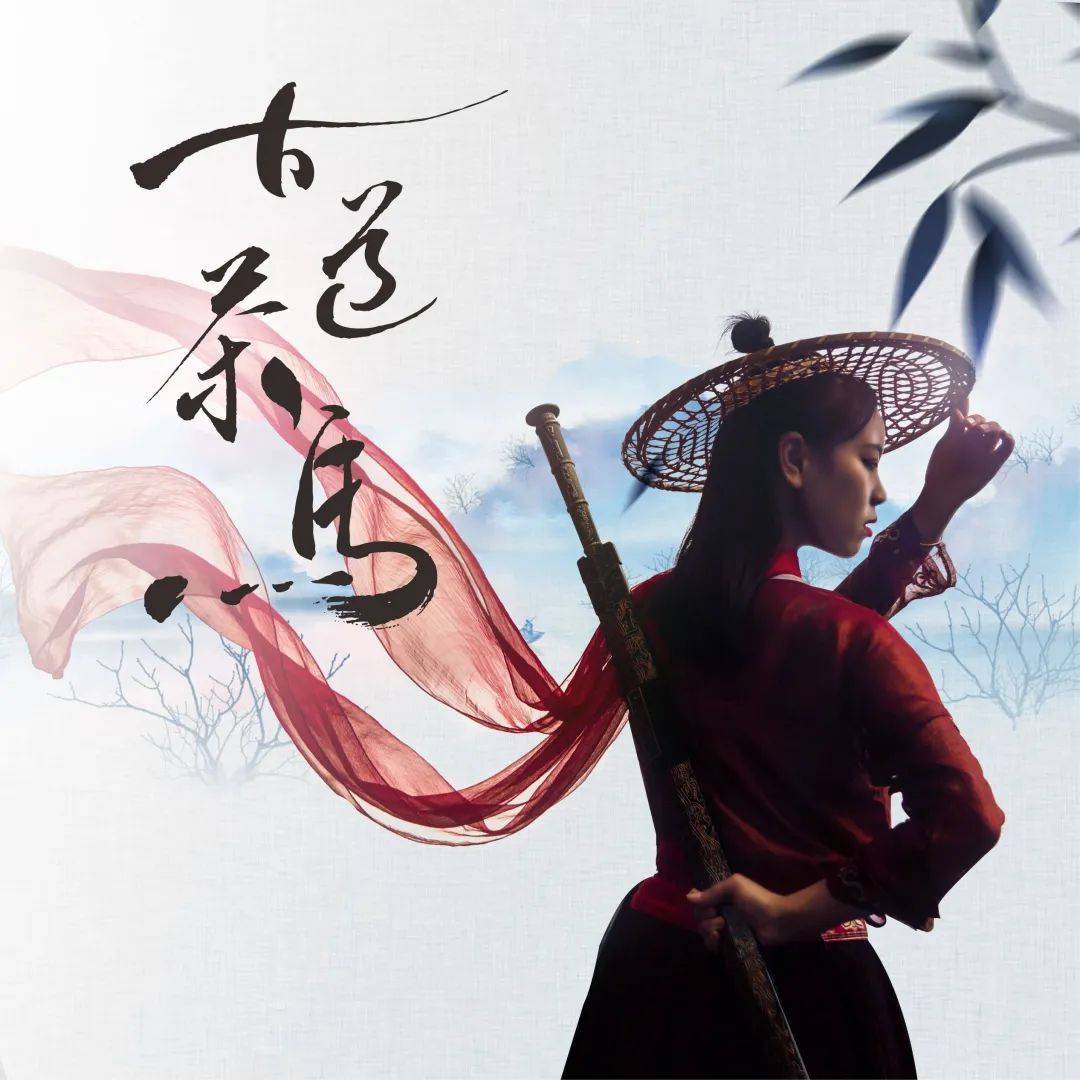 凌云仗剑走天涯走到茶马古道啦