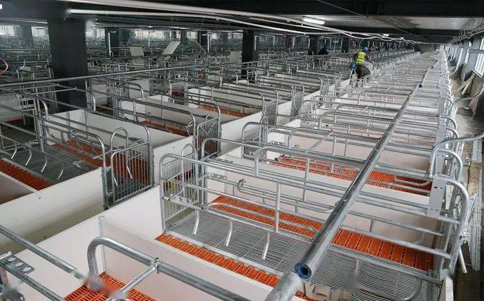 遵义首个智能化立体养殖场将投用