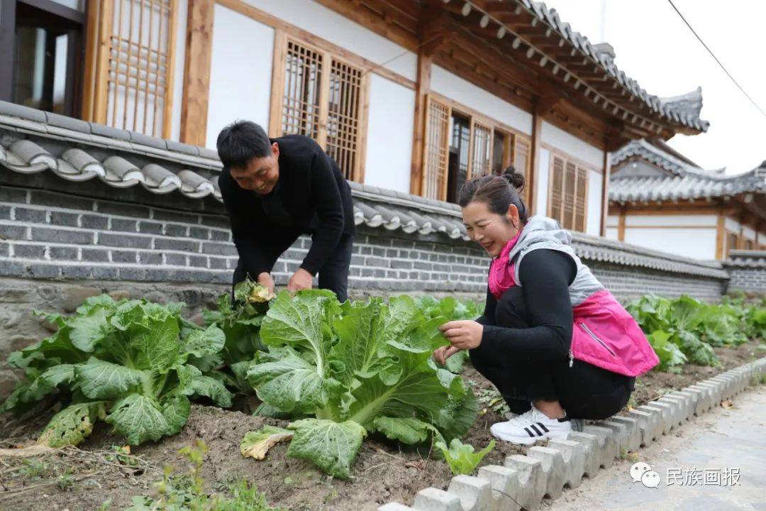 不僅使自家過上了好日子,還帶動村民們走上了脫貧致富的道路