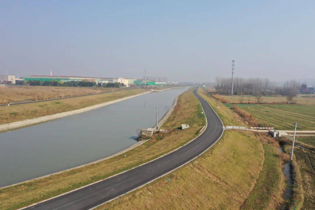 至西阳河河口段左岸和长金路八百河大桥至十里河河口右岸堤防进行治理