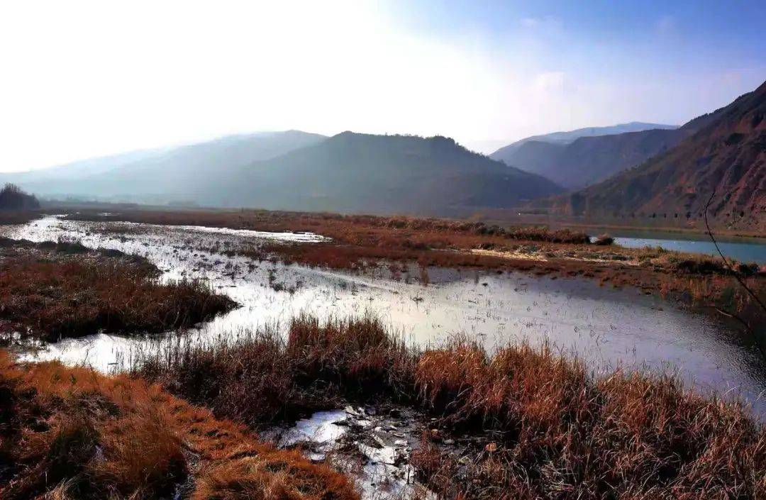 國家林草局來臨洮縣調研甘肅臨洮洮河國家溼地公園建設情況_鮑達明