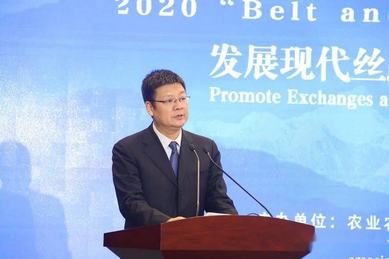 陇南电商自带buff加成c位出道