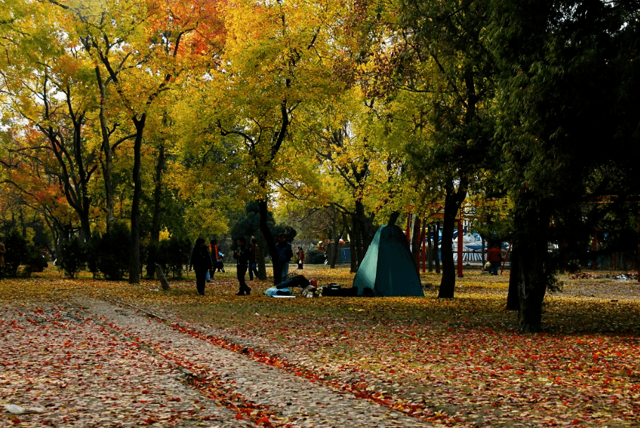 新鄉人民公園牧野公園和諧公園南湖公園平原公園定國湖平原新區鳳湖