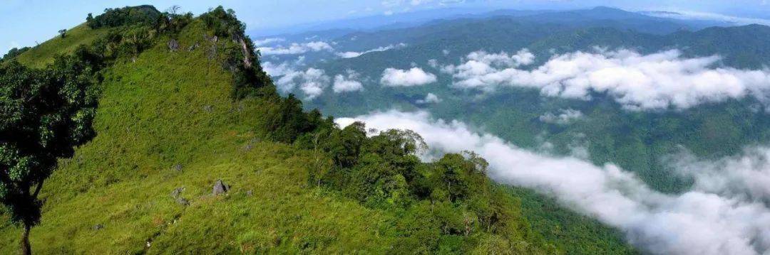 第4天 勐远仙境-普洱万亩茶山