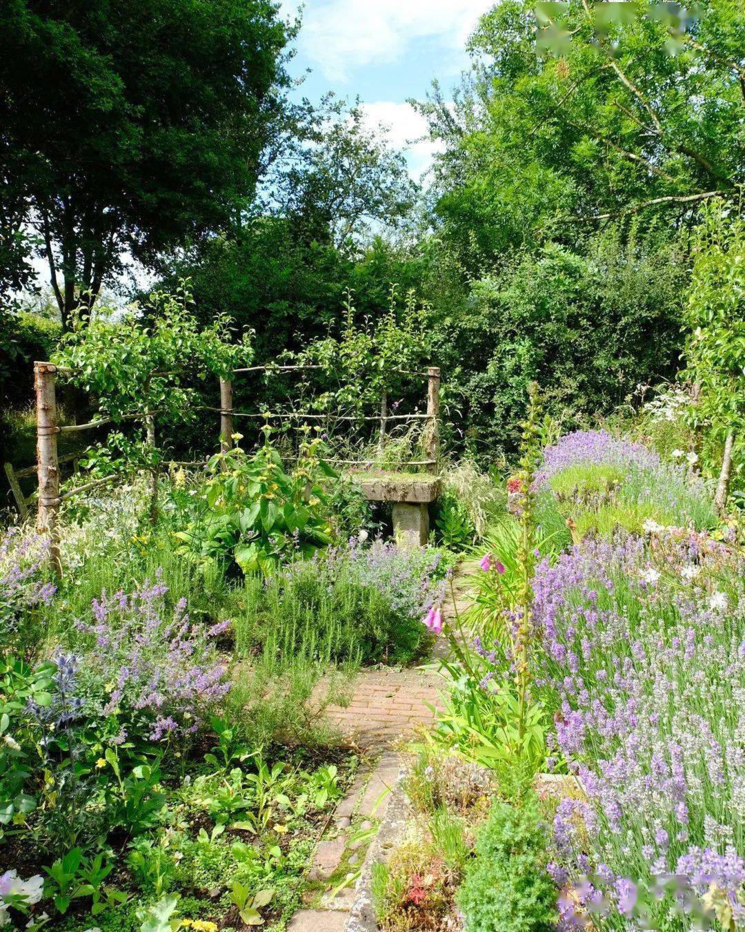 让日子如沐欢愉只差一座montydon的治愈系花园