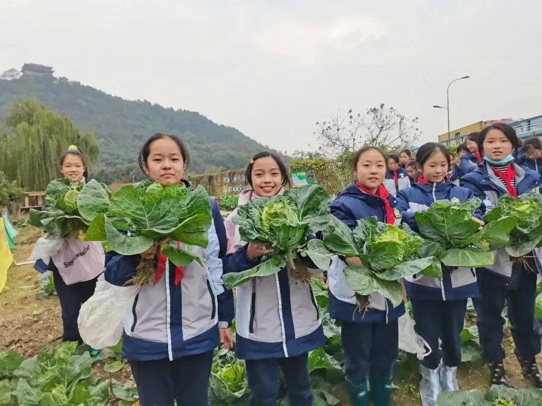 中草药种植基地,小鲁班木工坊等实践基地,利用20余亩土地建成开心农场