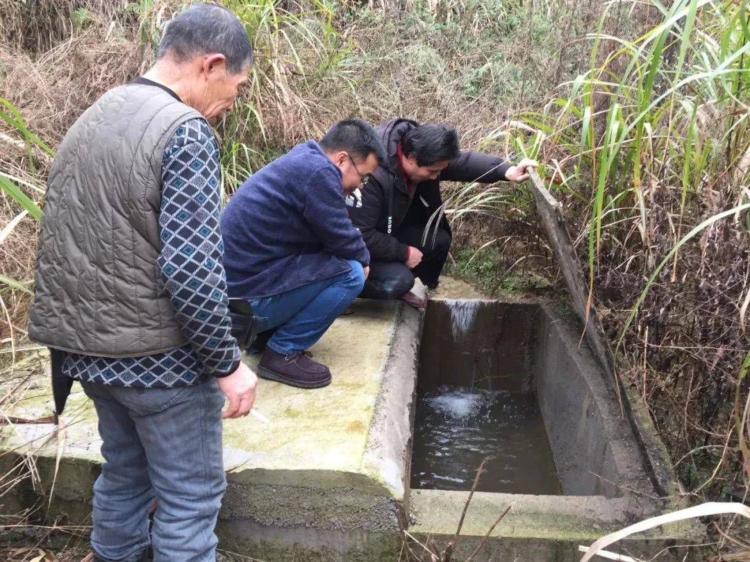 长江中下游地区地区有哪些商品粮基地_地区主导产业的选择以地区生产 为基本前提._脱贫地区