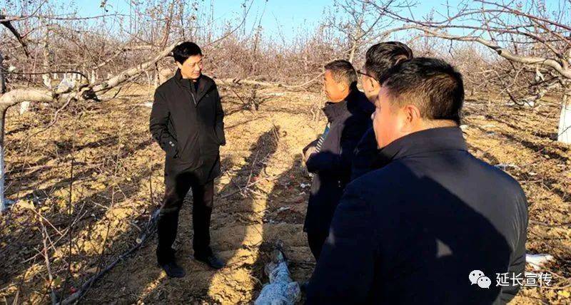 12月23日,延长县副县长白宗奇先后来到安沟镇北阳村,多海村,阿青村,三