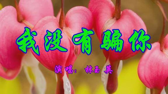 催泪情歌林玉英一首我没有骗你句句伤感令人心碎