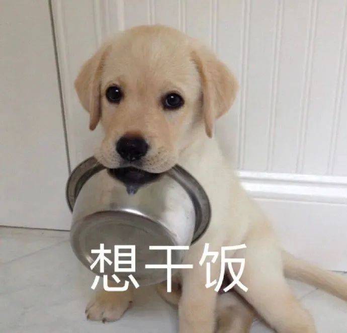 求求你别再叫我单身狗了!_干饭