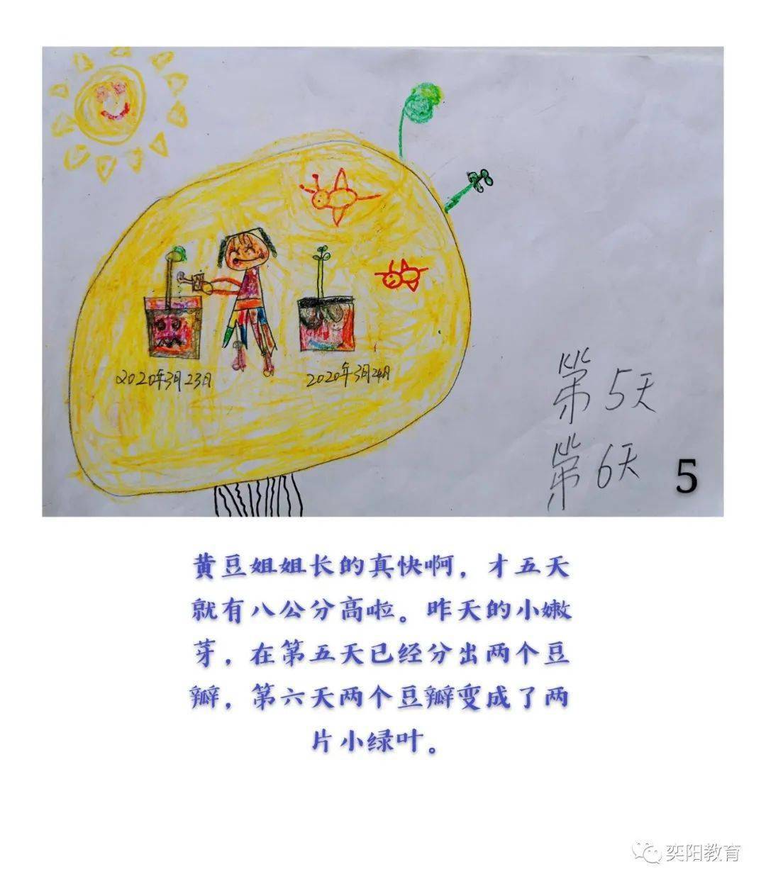 种子成长的故事第十六届儿童自制图画书大赛作品展之七