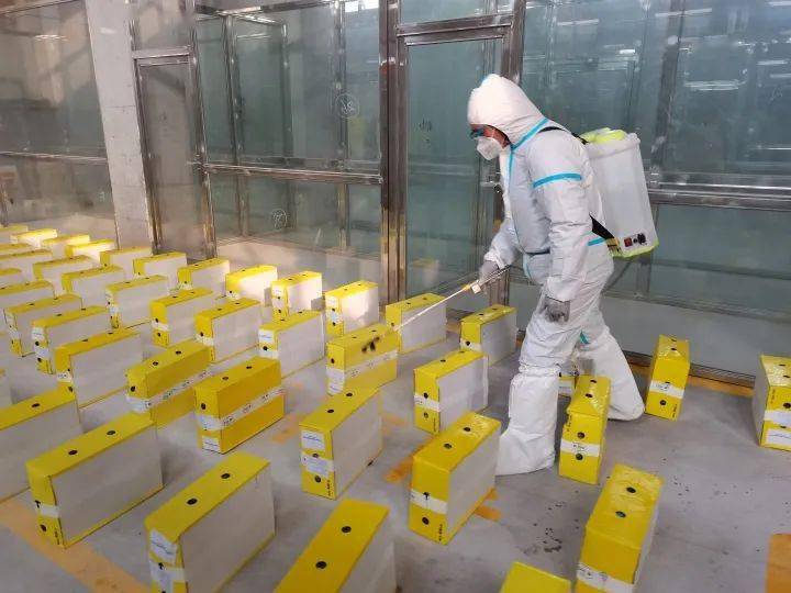 全部合格首站冷库启用两天消杀22吨进口冷链食品