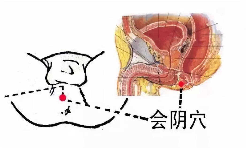 屁股上有個排溼總開關每天坐坐它逼出20年溼毒便秘贅肉風溼全好了