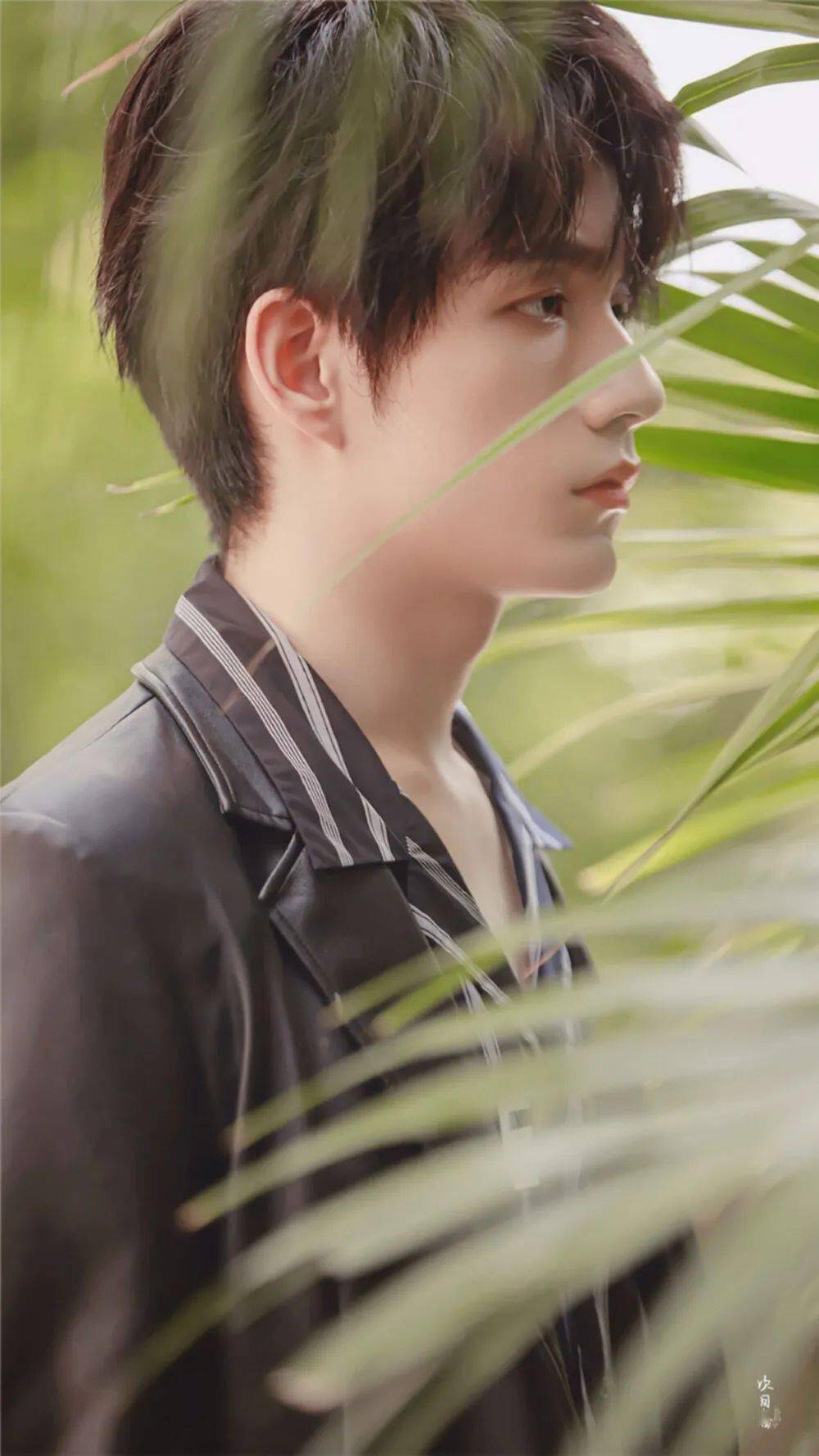 手机壁纸r1se张颜齐